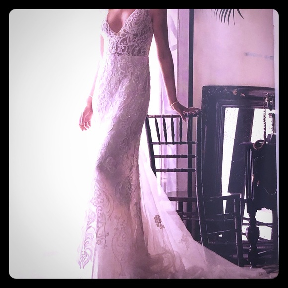 Stunning Backless Lace Wedding Gown - Picture 2 of 8